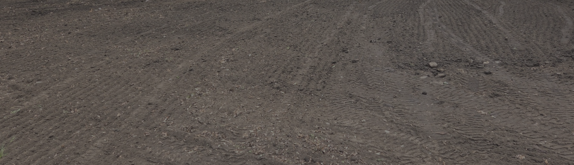 Grass Seeding