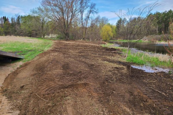 Brush Clearing