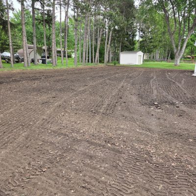 Grass Seeding