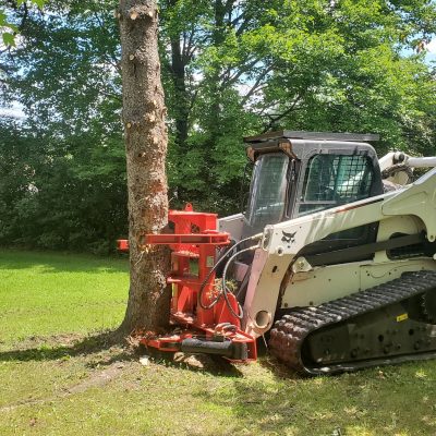 tree removal bobcat 2