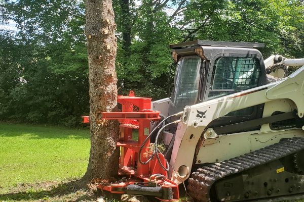 Tree Removal Service