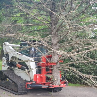 Tree Removal / Grinding